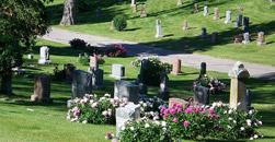 Riczo Funeral Homes